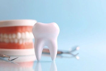 Fixed Partial Denture check